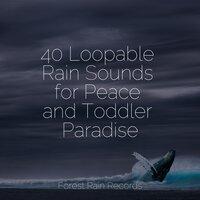 40 Loopable Rain Sounds for Peace and Toddler Paradise
