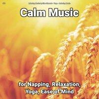 #01 Calm Music for Napping, Relaxation, Yoga, Ease of Mind