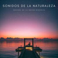 Sonidos De La Naturaleza: Sonidos De La Noche Oceánica