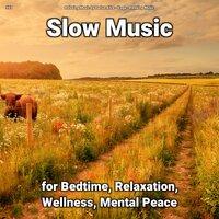 #01 Slow Music for Bedtime, Relaxation, Wellness, Mental Peace