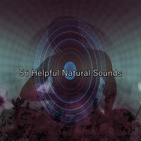 56 полезных звуков природы