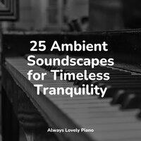 25 Ambient Soundscapes for Timeless Tranquility