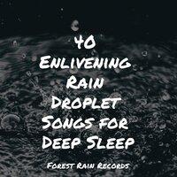 40 Enlivening Rain Droplet Songs for Deep Sleep