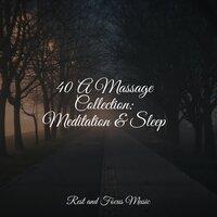 40 A Massage Collection: Meditation & Sleep