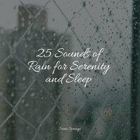 25 Sounds of Rain for Serenity and Sleep