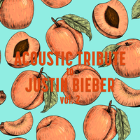 Acoustic Tribute to Justin Bieber, Vol. 2