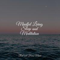 Mindful Living Sleep and Meditation