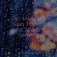 40 Mellow Rain Tracks for Spa & Serenity
