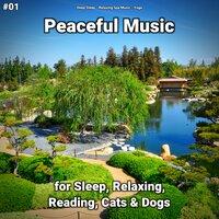 #01 Peaceful Music for Sleep, Relaxing, Reading, Cats & Dogs