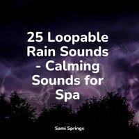 25 Loopable Rain Sounds - Calming Sounds for Spa