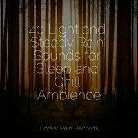 40 Light and Steady Rain Sounds for Sleep and Chill Ambience