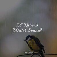 25 Rain & Water Sounds