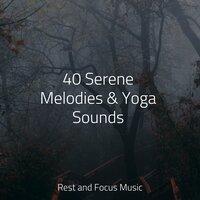 40 Serene Melodies & Yoga Sounds