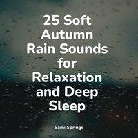 25 Soft Autumn Rain Sounds for Relaxation and Deep Sleep