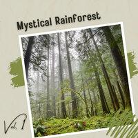 Mystical Rainforest Vol. 1