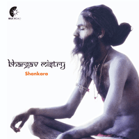 Bhargav Mistry