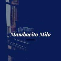 Mambocito Milo