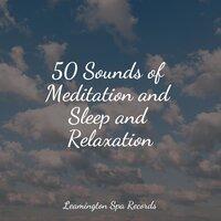 50 Sounds of Meditation and Sleep and Relaxation