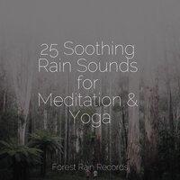 25 Soothing Rain Sounds for Meditation & Yoga