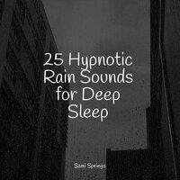 25 Hypnotic Rain Sounds for Deep Sleep