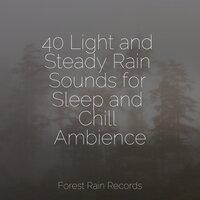 40 Light and Steady Rain Sounds for Sleep and Chill Ambience