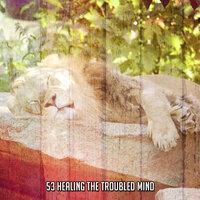 53 Healing The Troubled Mind