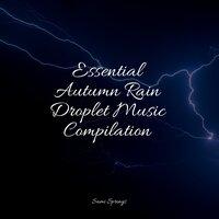 Essential Autumn Rain Droplet Music Compilation
