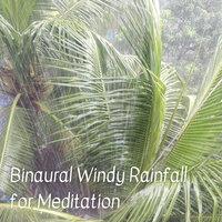 Binaural Windy Rainfall for Meditation