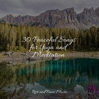 30 Peaceful Songs for Yoga and Meditation