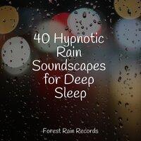 40 Hypnotic Rain Soundscapes for Deep Sleep