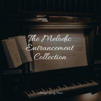 The Melodic Entrancement Collection