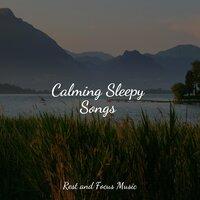 Calming Sleepy Songs