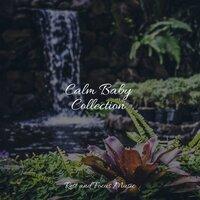 Calm Baby Collection
