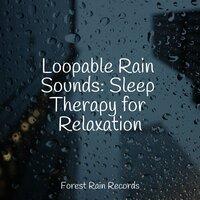 Loopable Rain Sounds: Sleep Therapy for Relaxation