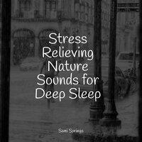 Stress Relieving Nature Sounds for Deep Sleep