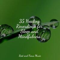 35 Healing Recordings for Sleep and Mindfulness