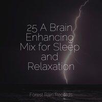 25 A Brain Enhancing Mix for Sleep and Relaxation