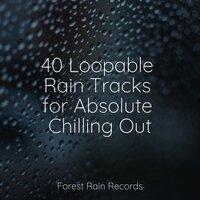 40 Loopable Rain Tracks for Absolute Chilling Out