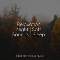 Relaxation Night | Soft Sounds | Sleep