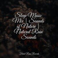 Sleep Music Mix | Sounds of Nature | Natural Rain Sounds