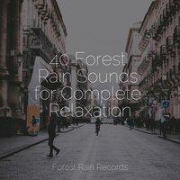 40 Forest Rain Sounds for Complete Relaxation
