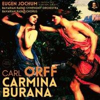 Orff: Carmina Burana 'Cantiones profanae cantoribus et choris cantandae'