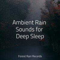 Ambient Rain Sounds for Deep Sleep