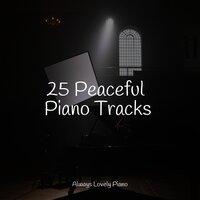 25 Peaceful Piano Tracks