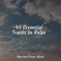 40 Essential Tracks to Relax