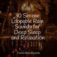 30 Serene Loopable Rain Sounds for Deep Sleep and Relaxation