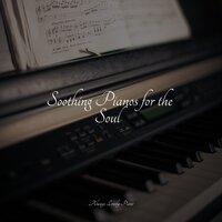 Soothing Pianos for the Soul