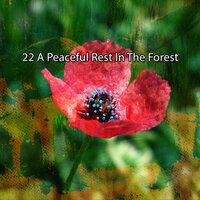 22 Мирный отдых в лесу