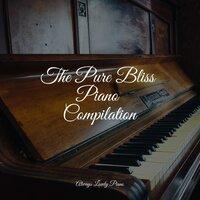 The Pure Bliss Piano Compilation