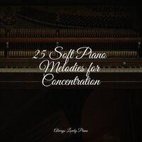 25 Soft Piano Melodies for Concentration